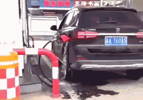 |搞笑GIF:你们有没有看一眼就怦然心动的感觉!