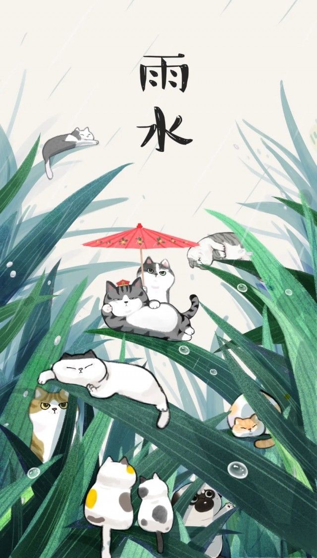 最好的安排@今日雨水！一切，都是最好的安排