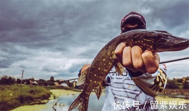 野沟门水库|能不能钓好鱼很大程度取决于钓鱼人的性格，不由你不信