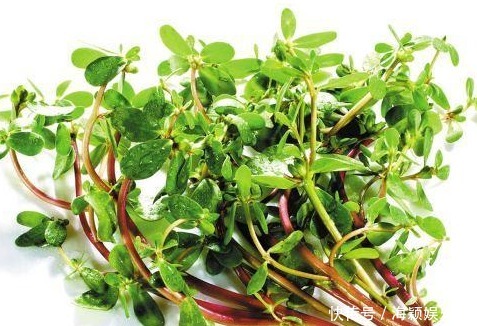 農村的一種野菜,介紹以下幾種治療疾病的小偏方,你值得擁有