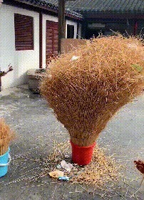 |“搞笑GIF:不会点特长连伴娘都当不了,别说新娘了”