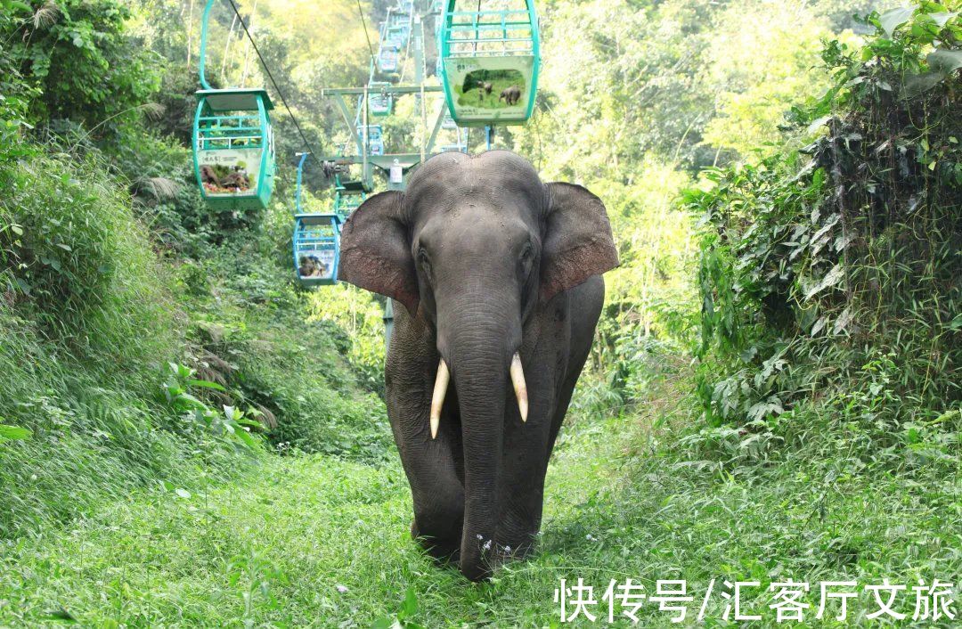 跟着一路向北的大象,到《向往的生活》的取景地,过过慵懒的生活