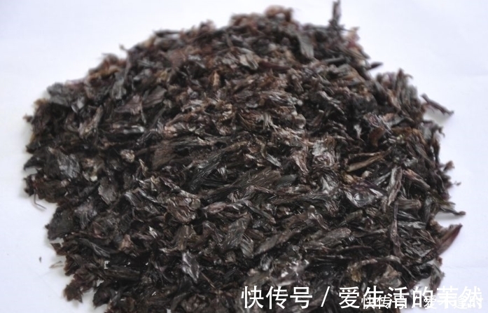 紫菜|中老年人补钙,别只知道喝骨头汤了,常吃5种食物,有助于补钙