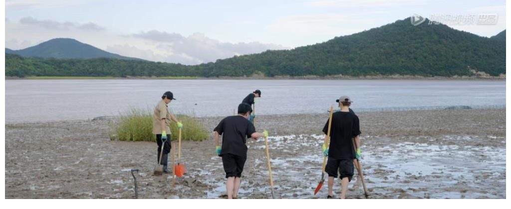 导演得不偿失?拍好《五哈》同时,让《向往》失去刘昊然这位嘉宾