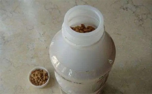 冬季野钓,普通鲫鱼饵料不好用?这款饵料比小药还厉害