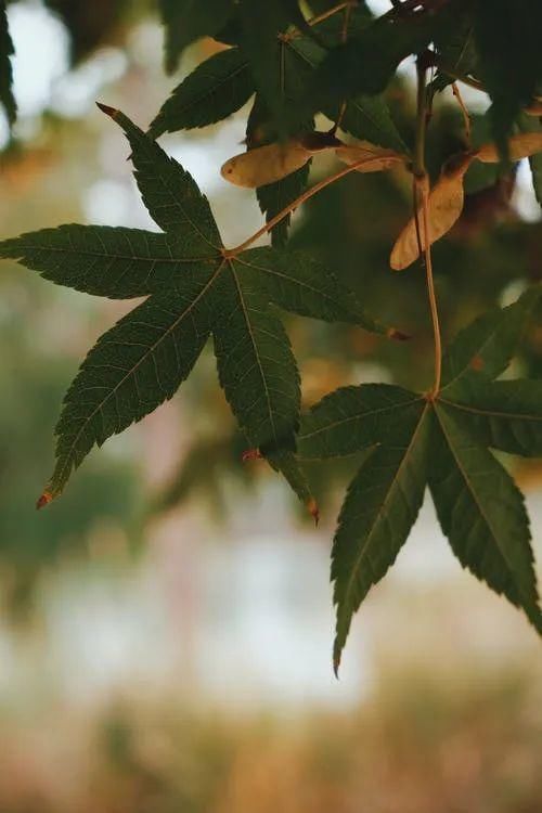 四大名著最经典的40句大俗话话俗,理不俗