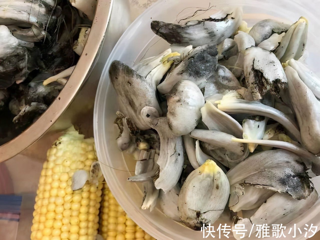 以为是青蛙!他打开玉米惊见“黑色物体”,内行网友:是“松露”