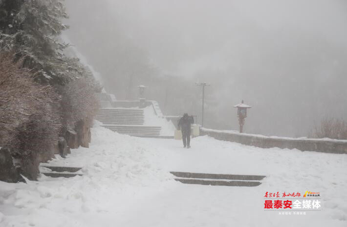 春雪满山坡，岱宗展新颜