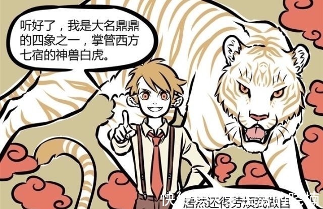 老虎|非人哉:老虎,再霸气也只是猫科动物,它也会有“失恋”的一天!