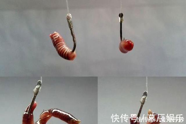 概率|钓鱼时到底该不该露钩别争论了,实践才能出真知