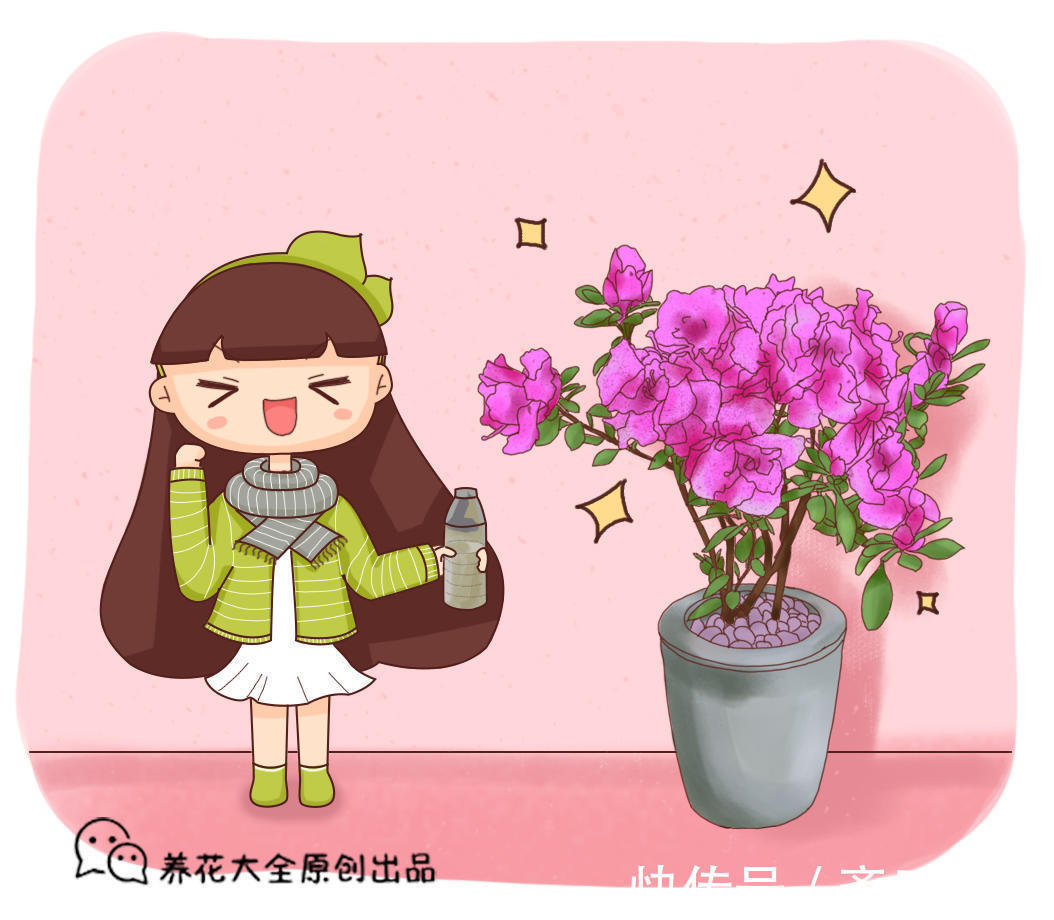 5种大型花原来是个酒鬼，每周灌点酒，喝完马上绿油油！