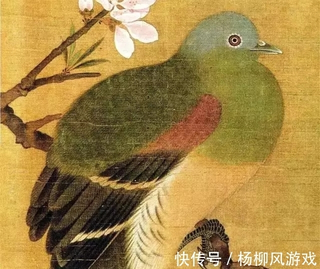 花鸟画@精细入微,看清一根根羽毛!赵佶花鸟画