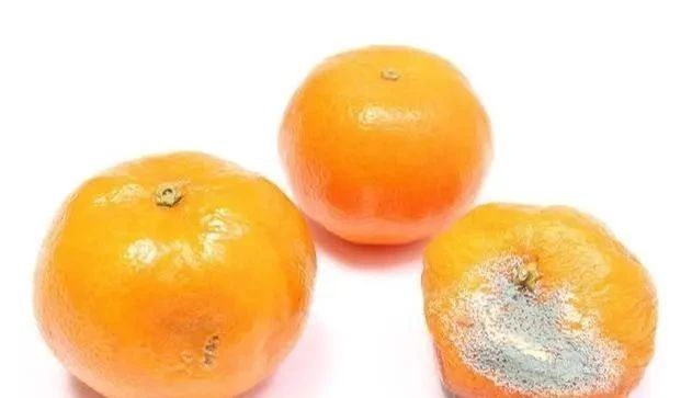 肝受损时,指甲会有一些“表现”,切莫忽视