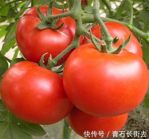 肉桂|悄悄“升高”血糖的行为,熬夜排在第三,第一大多数人都忽视了