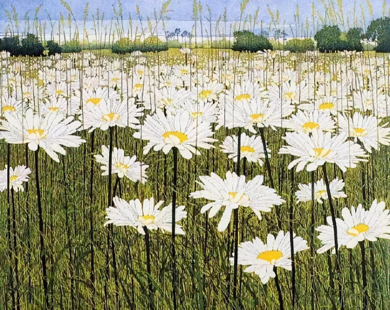 插画师&英国插画师Phil Greenwood的插画,给家里带来一丝文艺田园气息