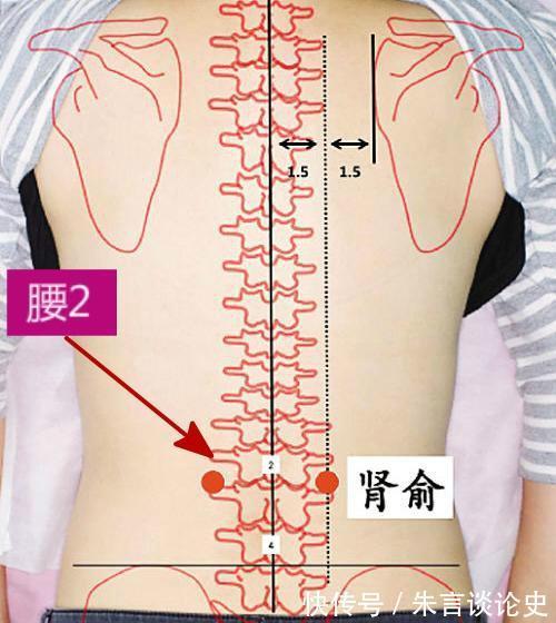 阴阳|秋分后,寒气渐重,遵循4条养生秘诀,平衡阴阳,全面增强抵抗力