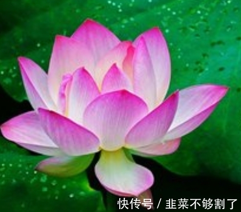 贵人|7月上旬，4属相运势上升，贵人自来，好运不断，家运兴旺