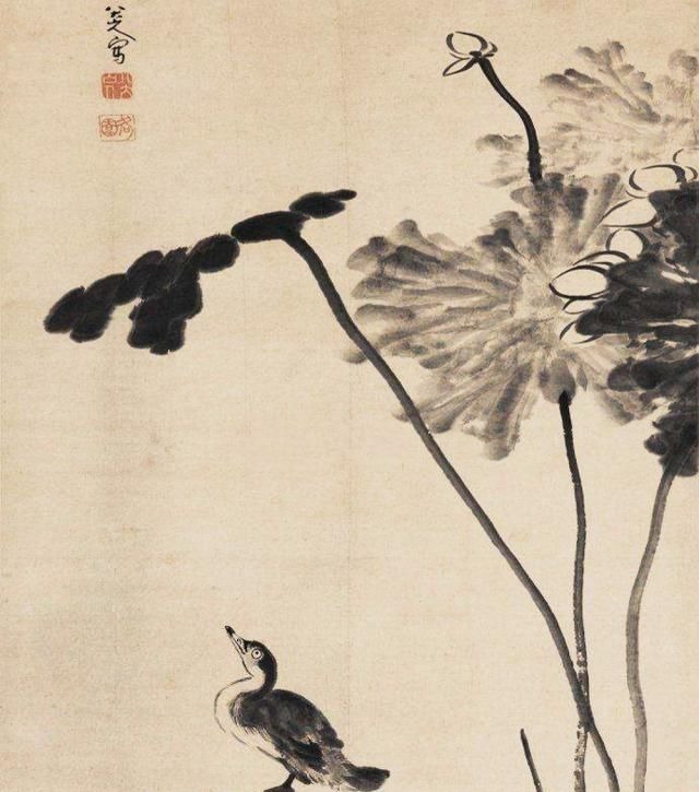 过来人!八大山人画了一只鸟,眼神忧郁,放大10倍,看懂的:都是过来人