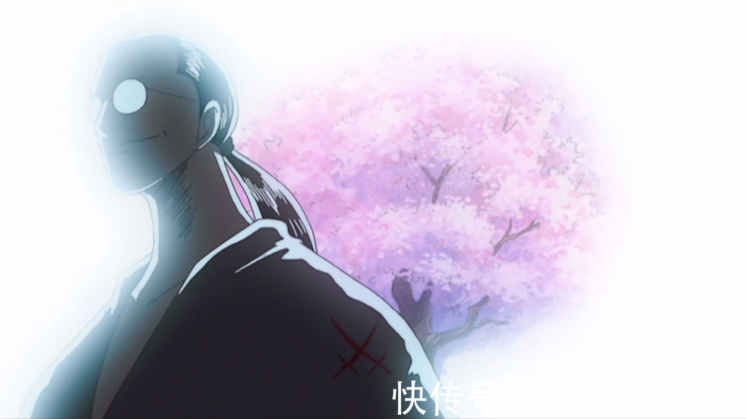 尾田|海贼王1033话,尾田实锤!耕四郎果然是隐藏的“大剑豪”