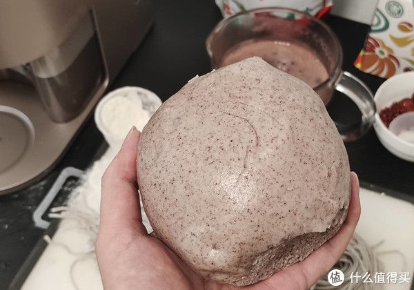 红豆黑米枣浆|1999元的破壁机有多好用？不用手洗、鱼都能做成“豆浆”