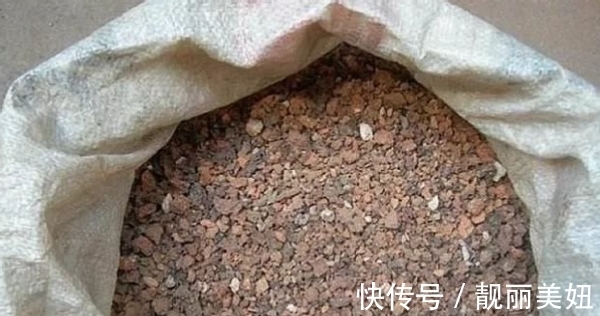 盆栽多肉不想土结块就用这“渣”作弊,方便储存空气、排泄积水