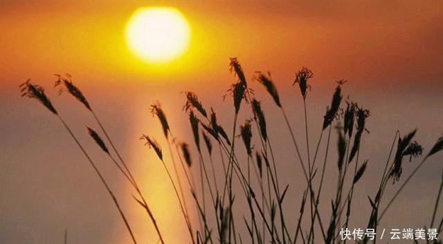 人到六十,夕阳无限好