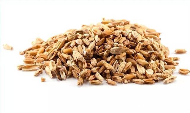 养心除烦|一味中药煮水喝,养心除烦,益气固表,自汗、盗汗都能治!