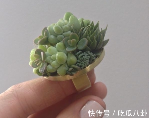 耳环#不是所有首饰都是珠宝的,多肉做成首饰,颜值完全秒杀大牌首饰!