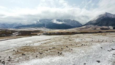 山丹马场|甘肃山丹马场深秋迎降雪 祁连山银装素裹