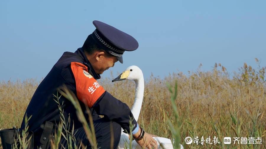 鸟类|“齐鲁最美警察”候选人杨华章：湿地荒滩的生态卫士