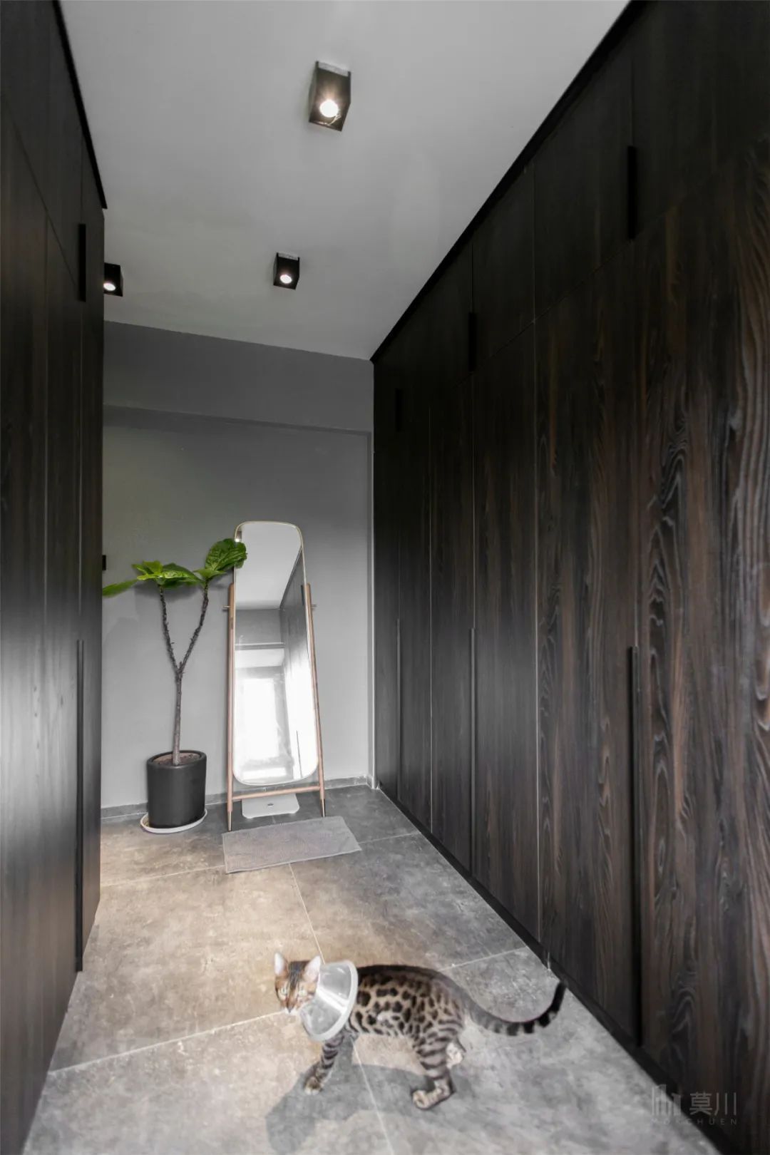 绿植|99㎡现代工业风,85后女神的家,满屋高级灰,绿植清新点缀