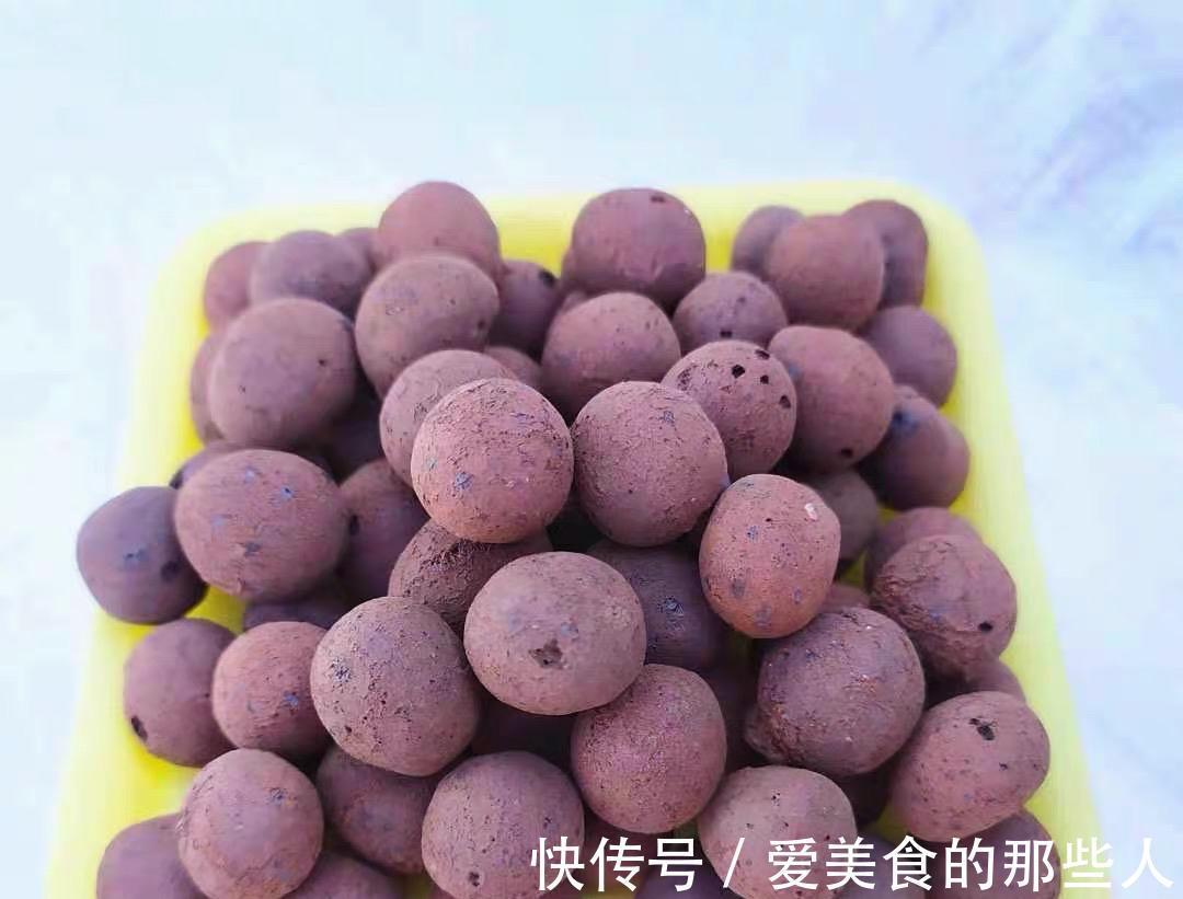 养花土里,必须加3种料,不板结不积水不烂根,花草疯长很旺盛