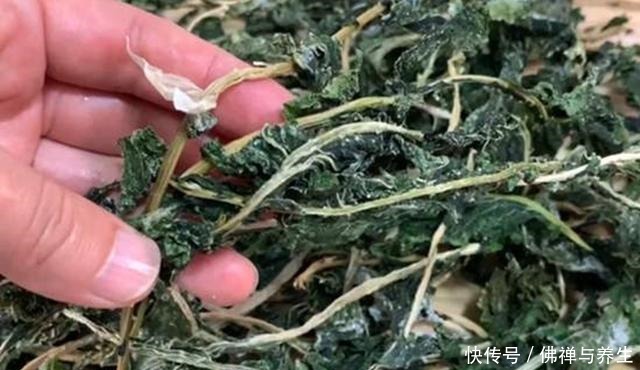 很多人只吃果肉,其实叶子才是宝贝,如今正当季,不懂吃可惜了