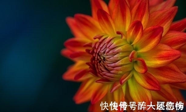 属兔|两周以后，桃花缠身，依旧心动，不委屈，不负真情，潇洒离去