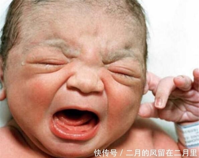 水灵灵|“暴躁宝宝”走红,刚出生就一脸生气:对这个家不是很满意?