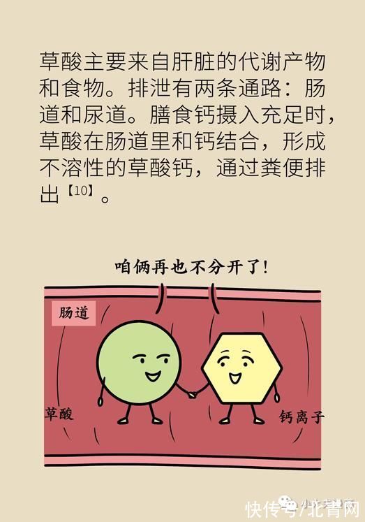 骨量|怕骨折，去补钙，会补出肾结石吗？骨量减少应该这么解决