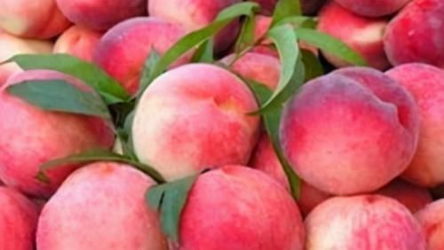 桃子|想长寿要多吃三种食物,美容养颜,延缓衰老,早吃早受益!
