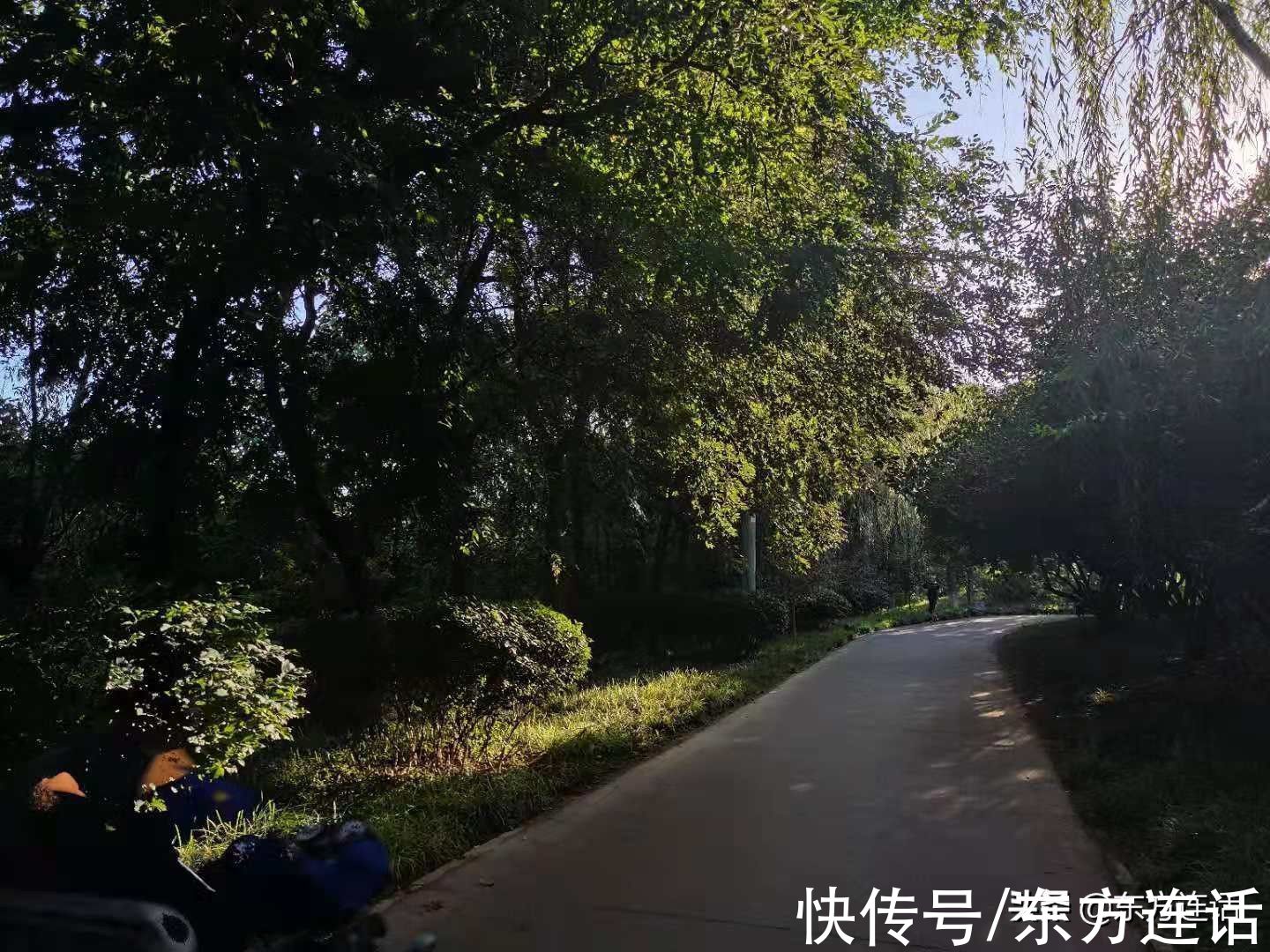 跑步|跑步笔记：跑步的女人