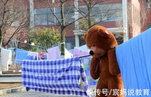 晾衣绳|大学生花式“晒被子”火了，创意满分逗笑网友，网友表示学到了
