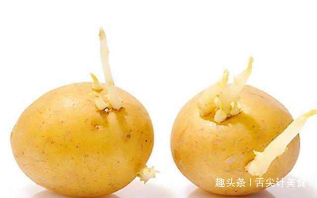 蕨菜|这几种蔬菜吃多了可能会致癌,宁可扔掉也不要吃,看看是哪些蔬菜