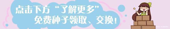 给“绿萝”浇水,兑上点这东西,棵棵长满盆,叶子巴掌大!