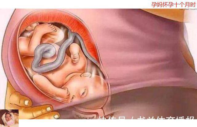 待产包|母亲十月怀胎到底多辛苦？十张图带你看孕育全过程，生命来之不易