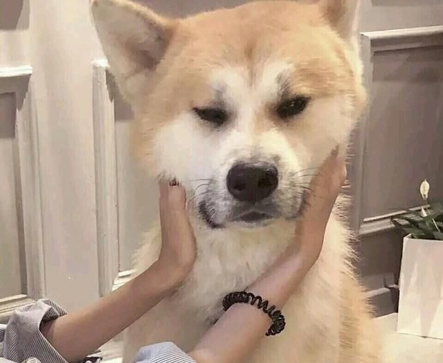 二胎政策|“生两个儿子,不生一个女儿”,听完二胎妈妈的故事,我恍然大悟