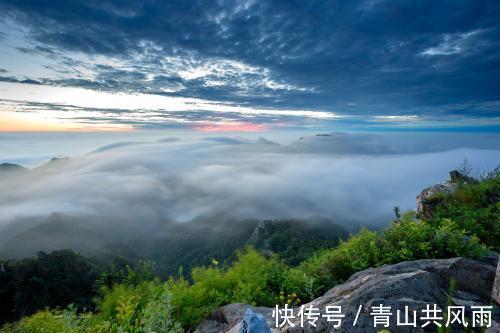 性格|脾气很好，性格好，能和他们相处真的很舒服的生肖