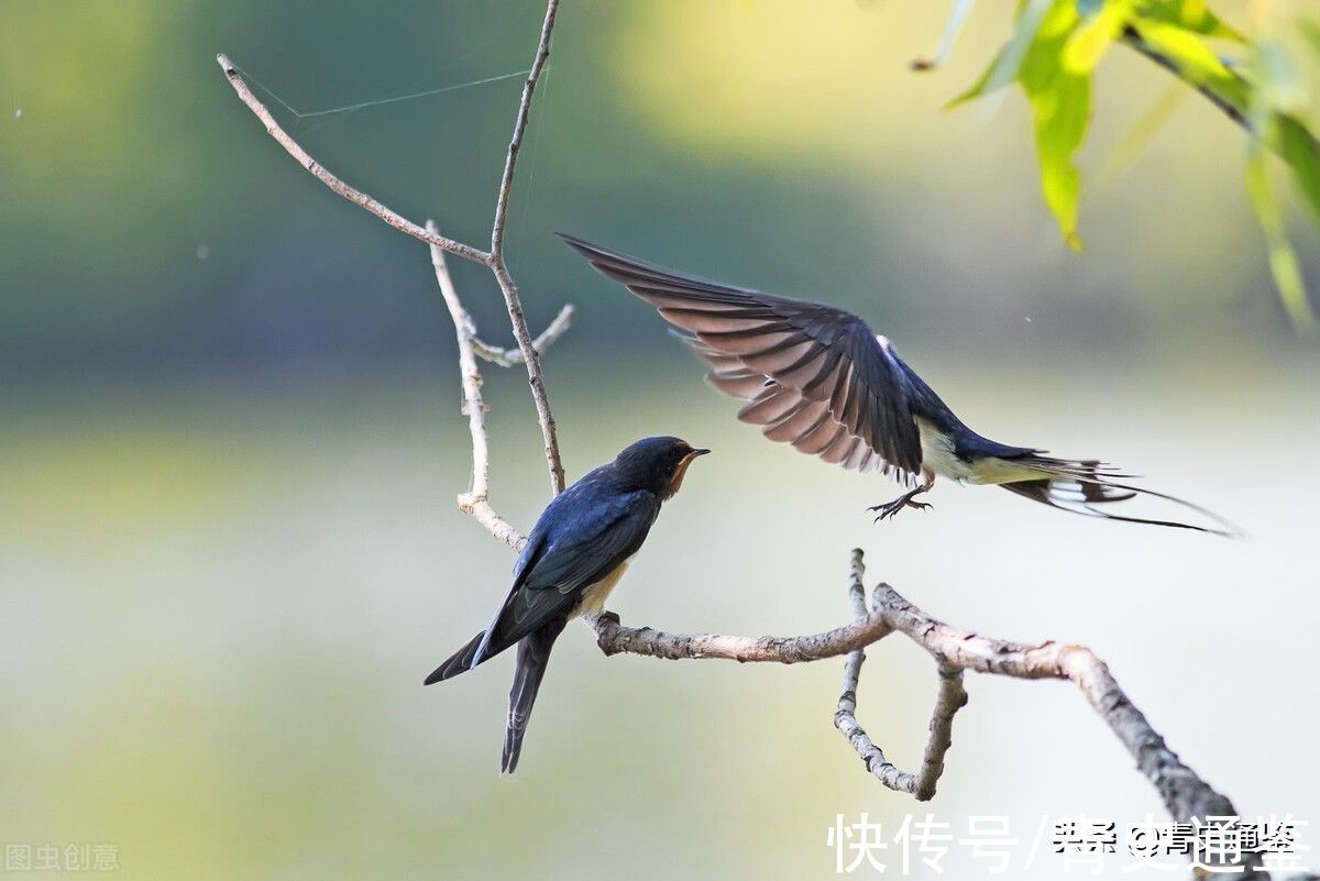悲剧的诞生|尼采：生命中值得严肃对待的事，是这6种，千万要重视