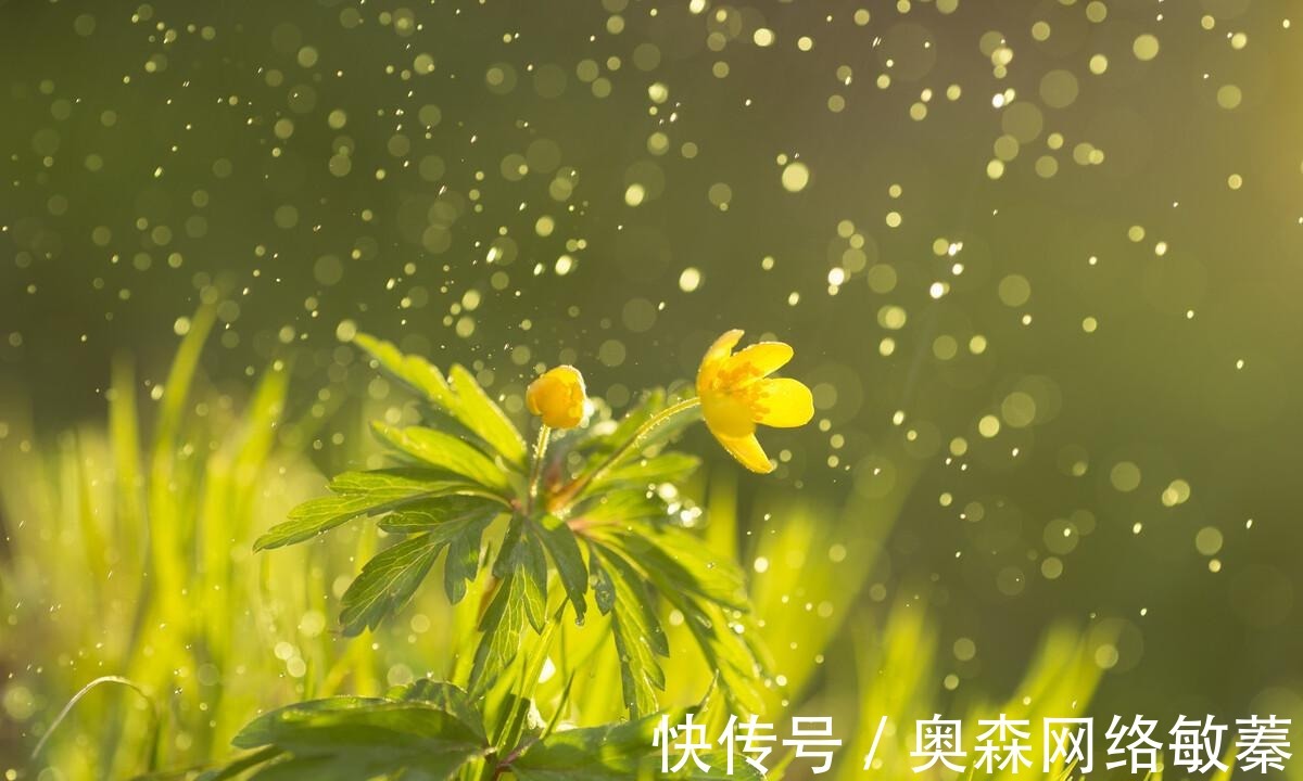 窗迥|一首经典的咏雨诗,全诗无一个雨字,却句句写雨,淅沥沥下了千年