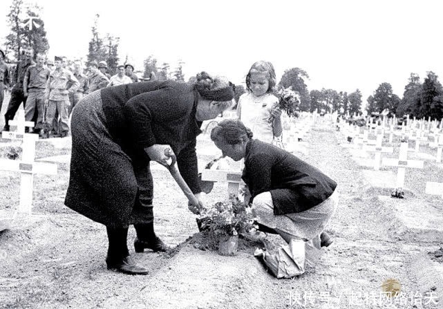 士兵|诺曼底被解放后的老照片:欢呼的法国人、被俘的德军士兵一脸悲伤