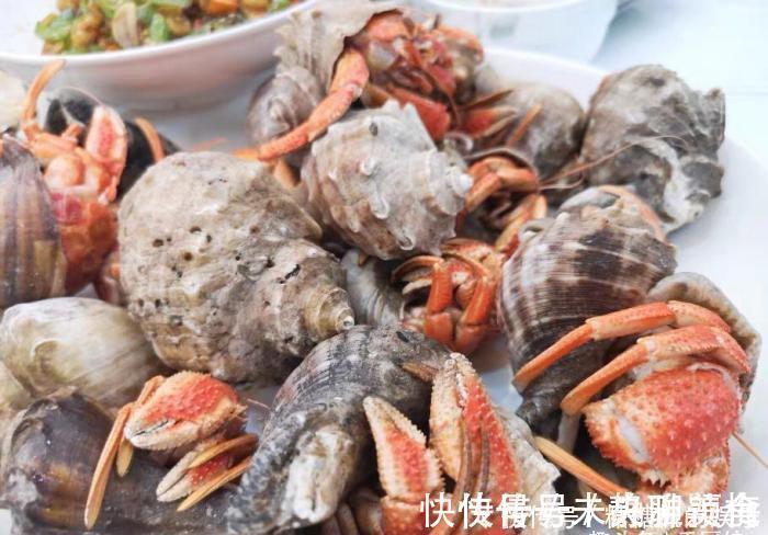 海兔|误认为是“大海螺”，花250块钱买6斤，回家上锅一蒸，太惊喜了