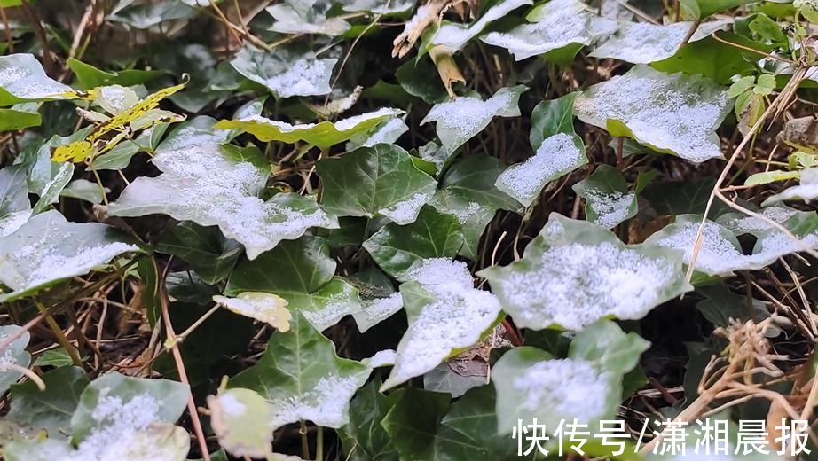 小雪初晴|小雪节气，张家界天门山现初雪身影