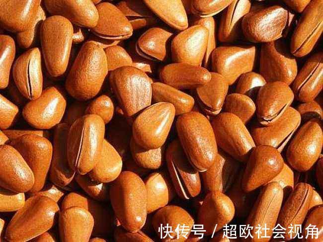 好活|吃的好活的长!身边最不起眼的4种增寿食物,你或许每天都在错过